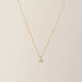 Alpha Teardrop Necklace