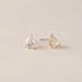 Alpha Teardrop Stud Earrings