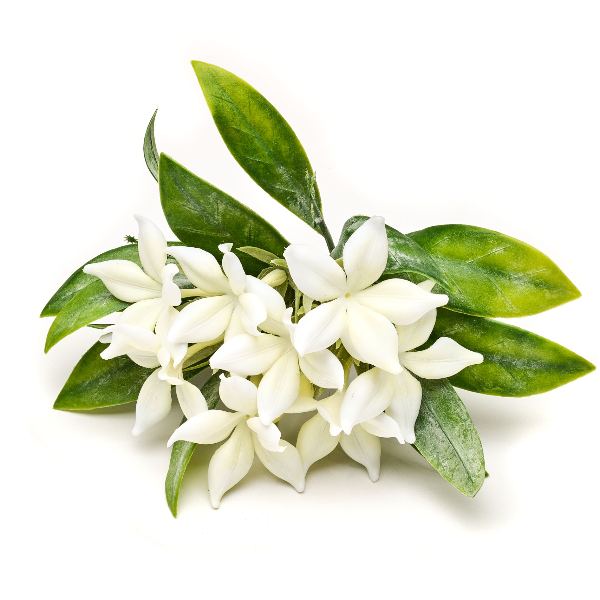 Jasmine Bush Napkin Ring Set/4
