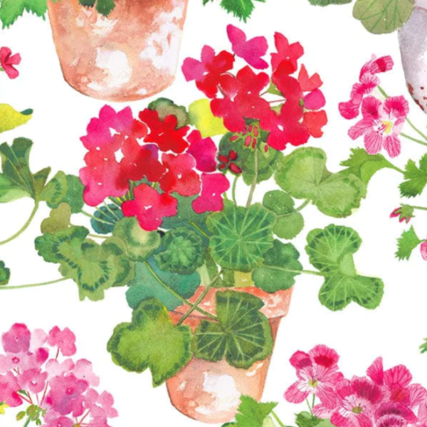 Trailing Geranium Cocktail Napkins