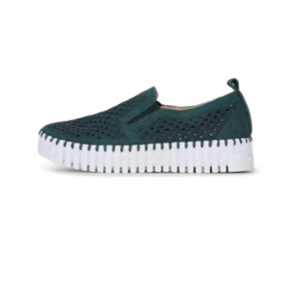 Tulip Platform in Beetle