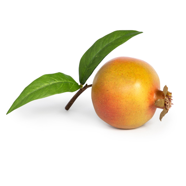 Red Pomegranate with Leaf