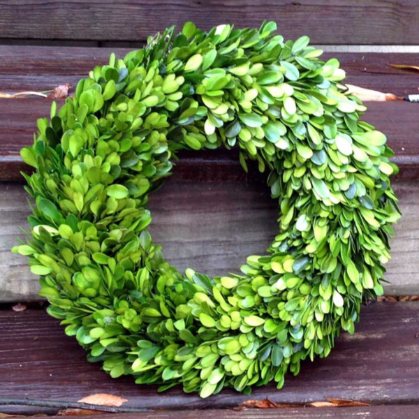 Boxwood 14" Wreath