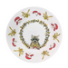 Raccoon Melamine Bowl