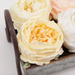 Real Touch Dark Champagne English Rose