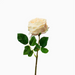 Real Touch Dark Champagne English Rose