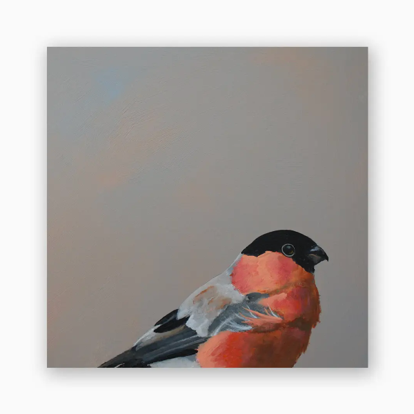 Bullfinch Wood Wall Art