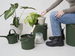 Garden Green Buckets