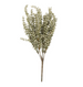 Heather Sage Stem
