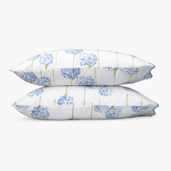 Charlotte Azure Sheets