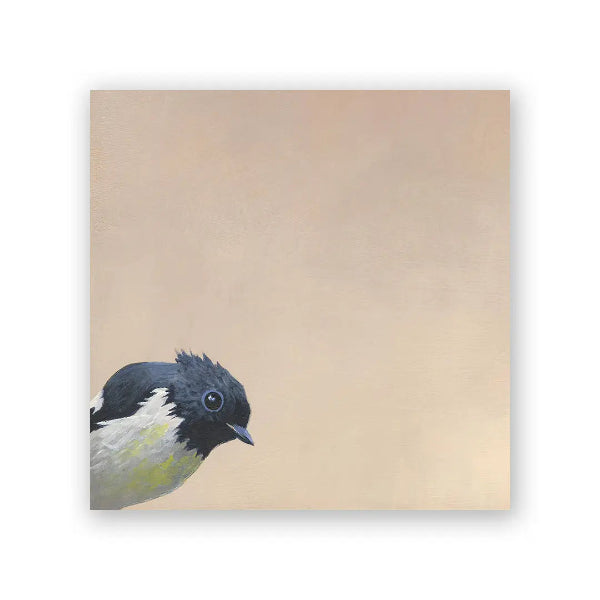 South Island Robin Wall Art