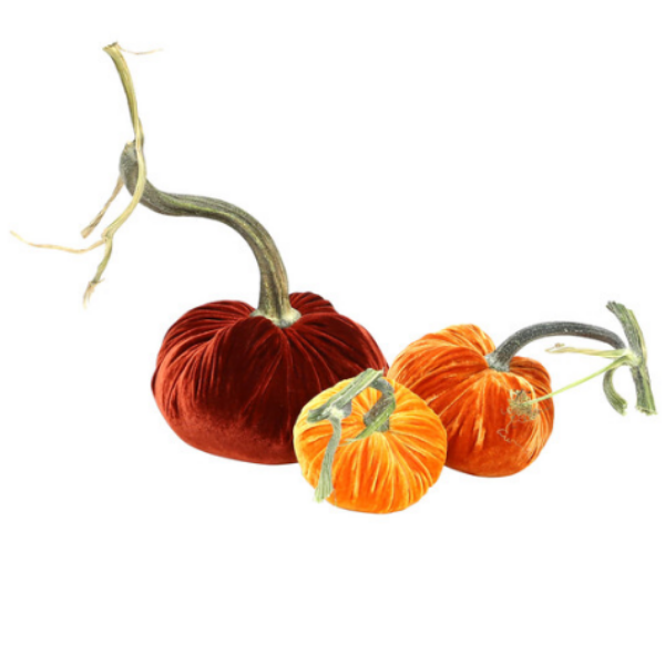 Velvet Pumpkins