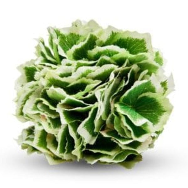 Border Hydrangea Napkin Ring