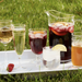 Isabella Acrylic Goblet Set/4