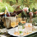 Isabella Acrylic Stemless Wine Set/4