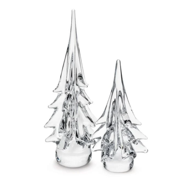 Spruce Evergreen Trees