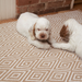 Diamond Khaki/White Indoor/Outdoor Rug