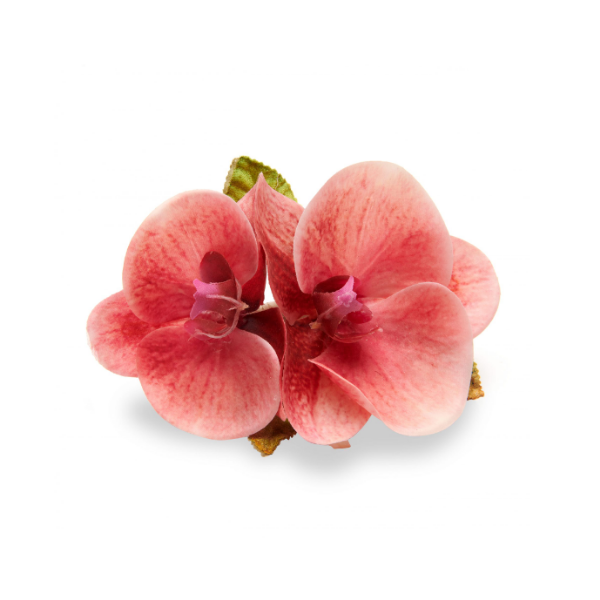 Coral Orchid Napkin Rings Set/4