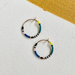 Colorloop Earring in Licorice