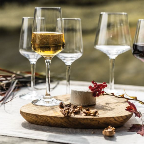 Vintner White Wine Glass