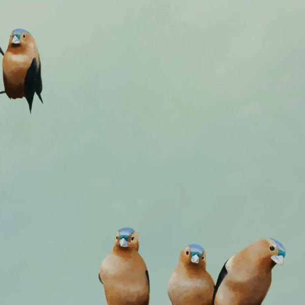 Fictional Finch Wall Art
