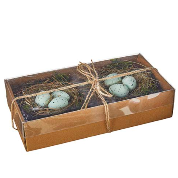 6" Box of Nesthomestoreed Robin Eggs