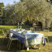 Arriere-Pays Blue Coated Table Linens