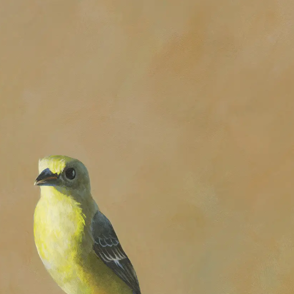 Goldfinch Wall Art